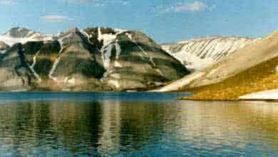 Минобороны: На Новой Земле предстоит собрать и вывезти более 20 тыс. тонн металлолома