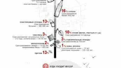 жизнь московского мусора