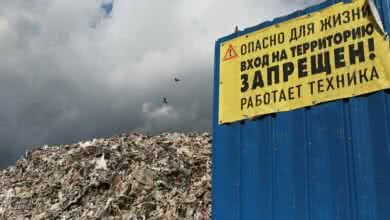 Нового госоператора отходов может возглавить бывший чиновник из Московской области