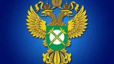 ФАС России представила Проект постановления Правительства Российской Федерации о бирже для лома черных и цветных металлов