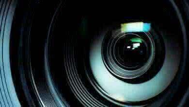 Рабочее совещание по видеоконференцсвязи по теме «Работа ломозаготовительных предприятий в условиях пандемии COVID-19»