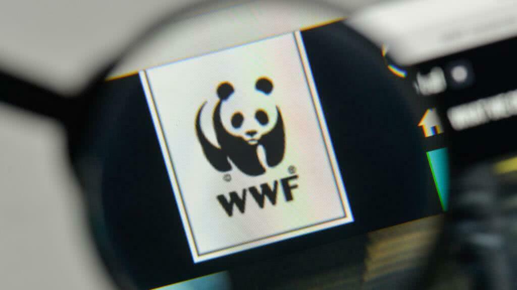 Группа НЛМК улучшила свою позицию в рейтинге экологической открытости WWF