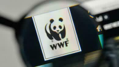 Группа НЛМК улучшила свою позицию в рейтинге экологической открытости WWF