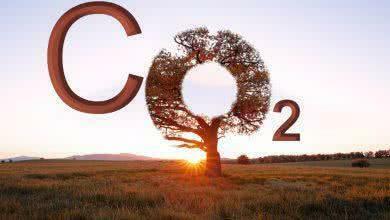 Ведущие переработчики металла отметили Всемирный день вторичной переработки 18 февраля, поставив амбициозные цели по достижению нулевой эмиссии