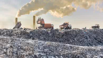 Меньше свалок: как запустить в России переработку мусора