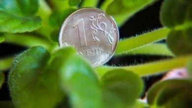 В правительстве разошлись во взглядах на стимулы для зеленого финансирования