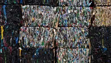 Минсельхоз поддержал отсрочку реформы утилизации отходов на три года