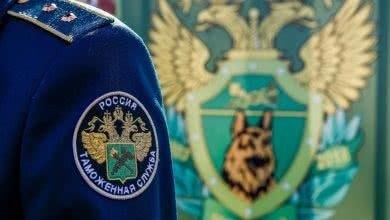 Новый порядок отбора проб и образцов товаров для таможенной экспертизы