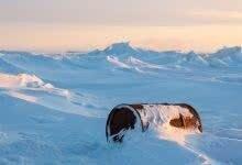 Северный флот продолжит экологическую очистку арктических островов