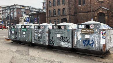 От мусора на улицах до глубокой сортировки: мировой опыт борьбы с отходами