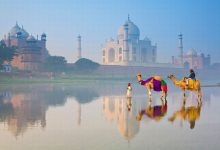 БИЗНЕС-МИССИЯ в Индии в сфере ломопереработки и металлургии.