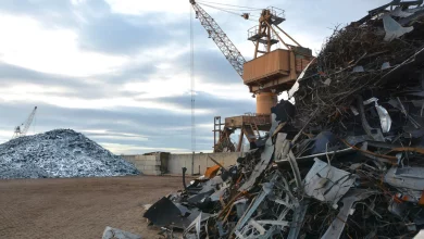 Отчёт о ценовой ситуации Минэкономразвития. 14 декабря 2022 г.