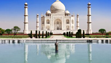 Обновлена программа индийской бизнес - миссии Ассоциации НСРО РУСЛОМ.КОМ