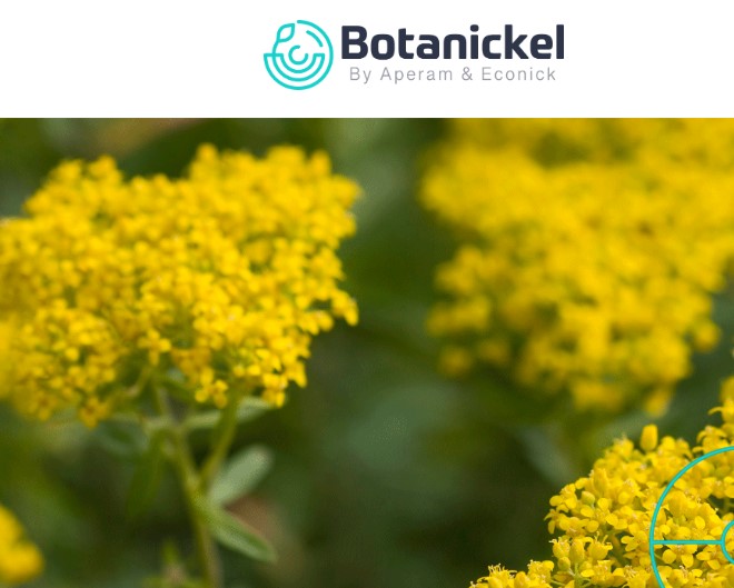 Aperam и Econick создали совместное предприятие под названием Botanickel