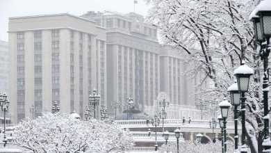 Законопроект о формировании новой подотрасли готовятся внести в Госдуму до конца июля 2023 года