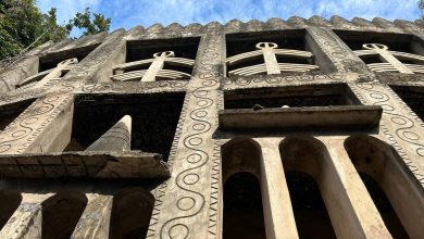 Сад из отходов в Индии