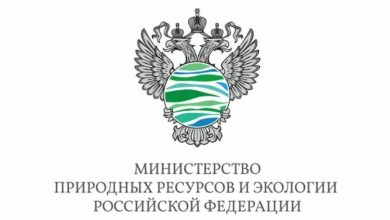 Интервью Главы Минприроды РФ об экологии, системе РОП, обращении с отходами