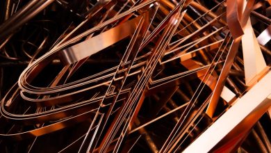 Ломозаготовители готовятся к цифровому форуму