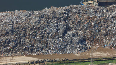 Экспорт лома черных металлов