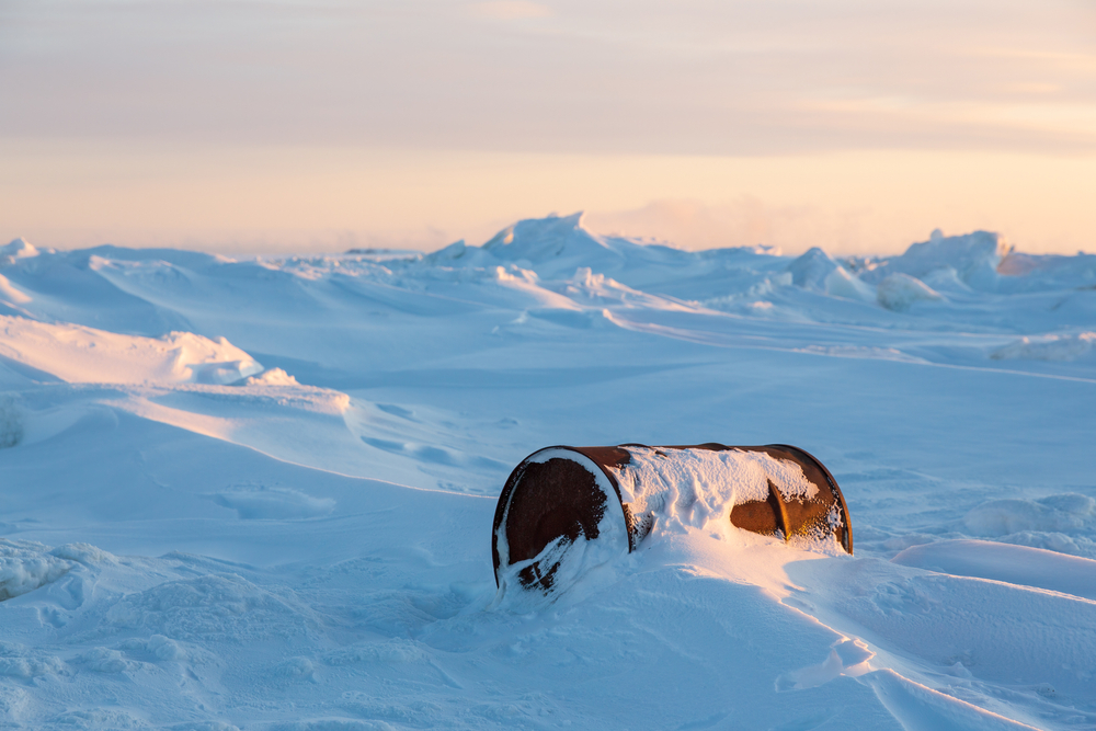 Шойгу заявил, что из Арктики вывезли более 31 тыс. тонн металлолома
