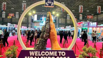 Индийский рынок: как нашим металлургам найти там место. Мнение директора Ассоциации НСРО «Руслом.Ком»