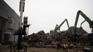 Ломосбор в РФ вырос в первой декаде марта на 37%