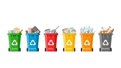 В России теперь сортируется более 50% твердых коммунальных отходов