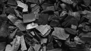 В России предложили ввести целевой сбор на утилизацию одноразовых мангалов