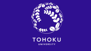 RSC: в Японии разработали активируемую водой батарейку из бумаги