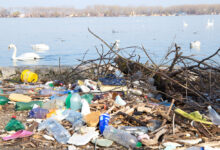 Госсовет по экологии выступил за ужесточение наказания за незаконные свалки