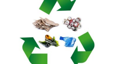 16 августа в АО «БИРЖА «ЦЕНТРАЛЬНАЯ ТОРГОВАЯ СИСТЕМА» запланированы первые торги