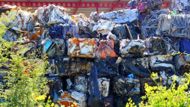 Утилизация автомобилей как способ развития экономики замкнутого цикла