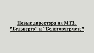 Новые директора на МТЗ, "Белэнерго" и "Белвторчермете". Лукашенко согласовал назначения