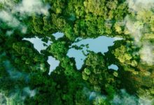 ГОСТ в сфере экологии, обращения с вторичными металлами, вторичным сырьем и НДТ, вступившие в силу 01.01.2025: