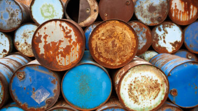 Россия представила на 17-й конференции сторон Базельской конвенции поправку о контроле за трансграничным перемещением опасных отходов, устанавливающую 90-дневный срок предоставления ответов на запрос