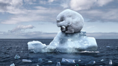 Тысячи бочек и мусора советской эпохи начнут вывозить с Севера в рамках инициативы «обратного фрахта».