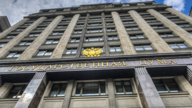 Госдума одобрила во 2 и 3 чтении закон о создании многофункционального сервиса