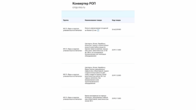 Конвертер РОП запущен в работу ППК РЭО