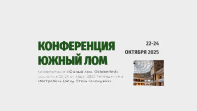 Обновлен проект программы с таймингом конференции "Южный лом", которая запланирована 22-24 октября 2025 г.