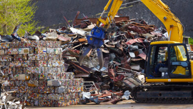 Стивен Сигал совместно с сыном Домиником и бизнесменом Михаилом Замариным открыл в России компанию по переработке отходов под названием «Хикари».