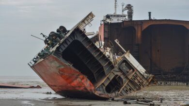 В рамках проекта «Генеральная уборка» планируется до 2030 года убрать из акваторий дальневосточных портов 103 старых судна