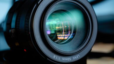 ТПП РФ продолжает знакомить зрителей видеоканала с передачами бизнес-цикла "Экономика без отходов"