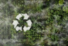 Новое в экологическом законодательстве за ноябрь 2025 г.