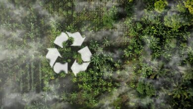 Новое в экологическом законодательстве за ноябрь 2025 г.