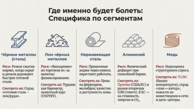 Анализируем риски 2026 в каждом сегменте рынка металлов, рассматриваем рекомендации и кейсы из истории для возможного решения