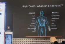 Рециклинг металлов, электронного лома, пластика, нефтепродуктов.