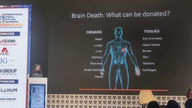 Рециклинг металлов, электронного лома, пластика, нефтепродуктов.