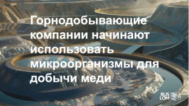 Горнодобывающие компании начинают использовать микроорганизмы для добычи меди