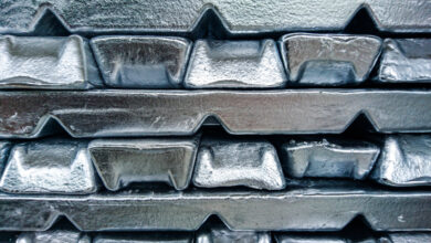 Технопарк алюминиевой промышленности за 892,8 млн руб запланирован к строительству в Ингушетии до 2027 года.