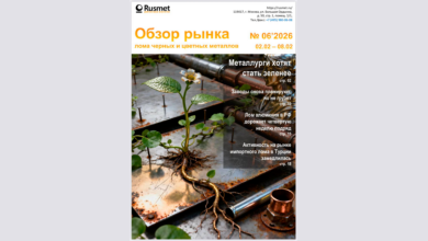 По итогам 8 дней февраля 2026 г. относительно аналогичного периода 2025г. объем отгрузки лома черных металлов по ж/д снизился на 61% с 135,4 тыс.т до 52,3 тыс. т.